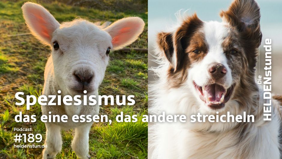 HS 189 | Speziesismus – das eine esse ich, das andere streichel ich
