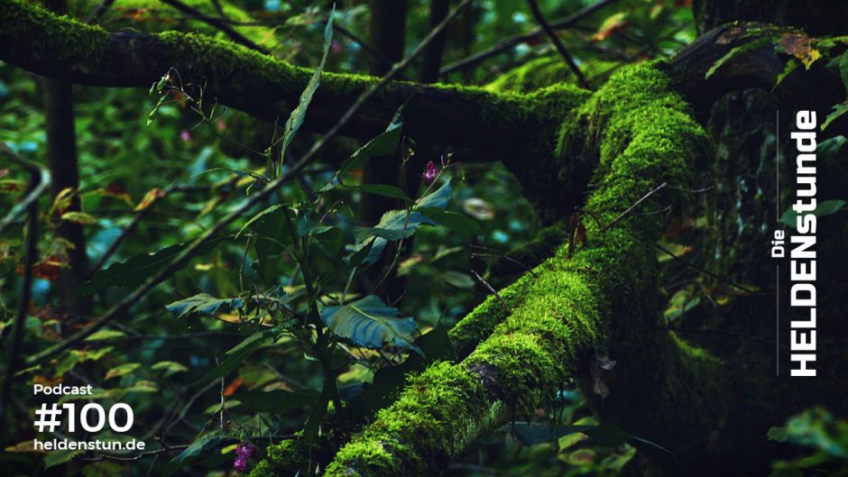 HS #100 | Ayahuasca und Depression