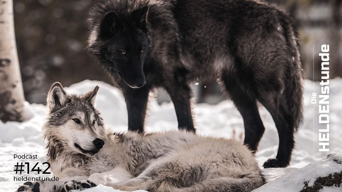 Die Geschichte vom weißen und vom schwarzen Wolf