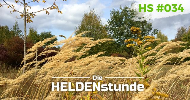 HS #034 | Waldbaden